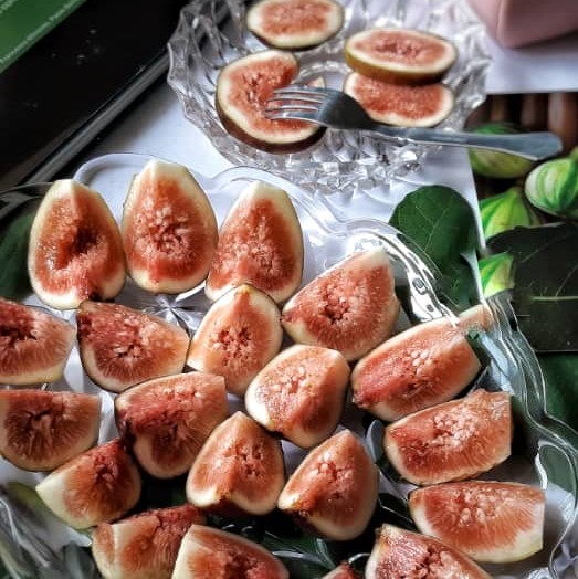 Figs